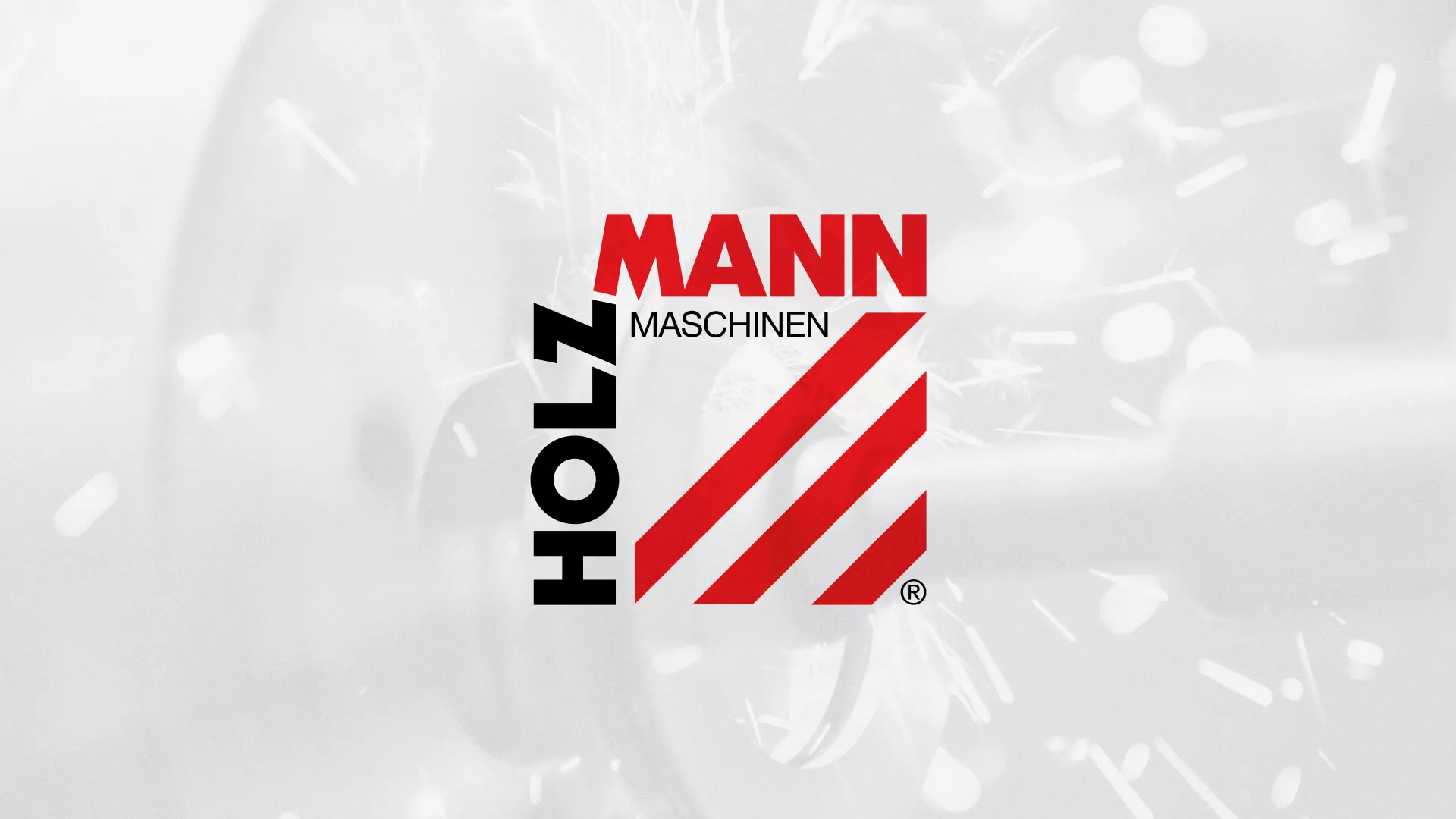 Создание сайта компании «HOLZMANN Maschinen GmbH» в Хилоке